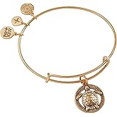 Alex and Ani Turtle Charm Bangle