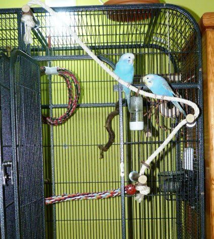 Vogelgaleria Sisal Climbing Rope for Birds with 3 Perches and Tasty Rings to Nibble …, Hazel Brown, Länge ca. 80cm, Seildicke 1cm - Image 4