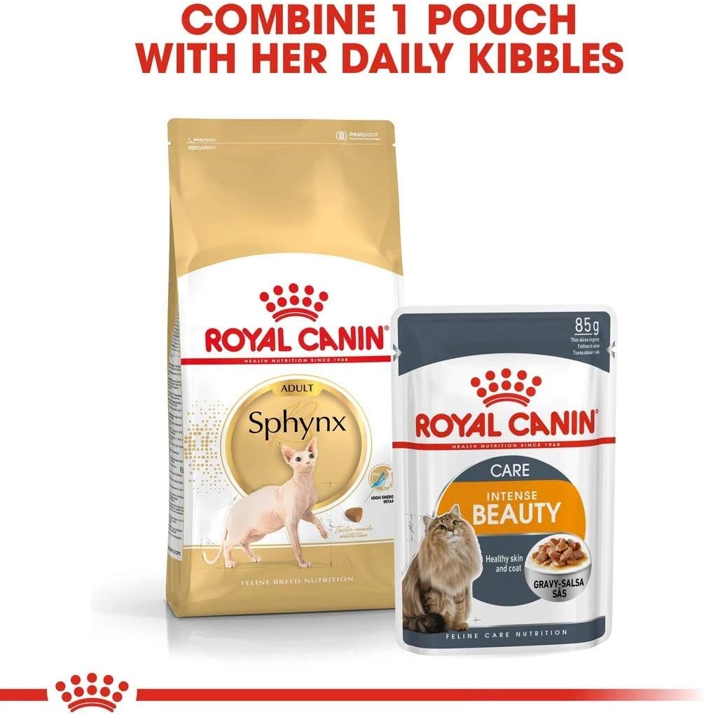 royal canin sphynx amazon