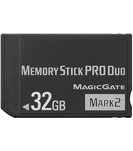 Amazon.com: Sony 4 GB Memory Stick ProDuo MSMT4G/TQ1 (Black
