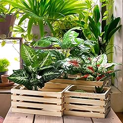ZENFUN 3 Pack Wooden Nesting Crates with