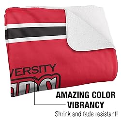 Lewis University Primary Logo Stripes Sherpa