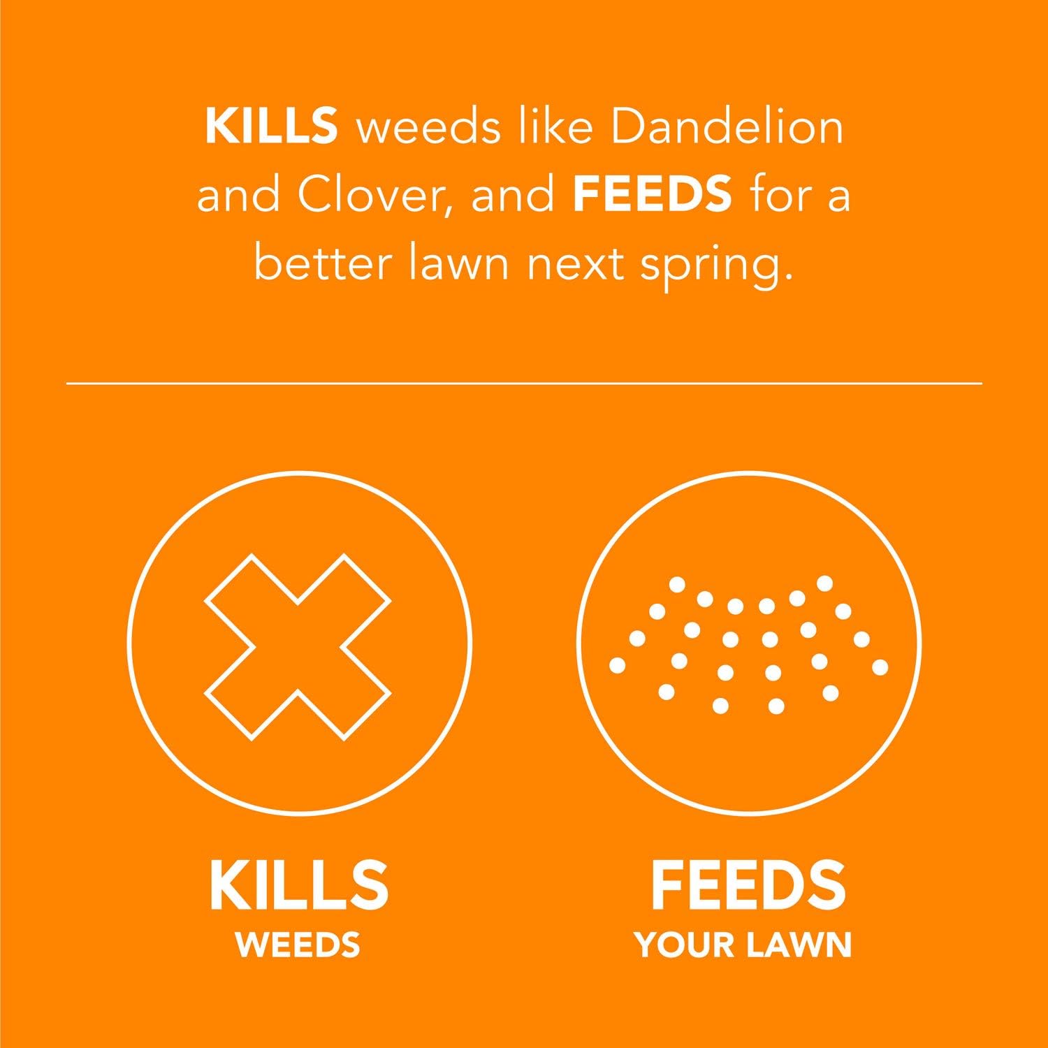 Scotts Turf Builder WinterGuard Fall Weed and Feed 3, 15, 000 sq. ft. : Garden & Outdoor