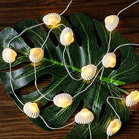 WSgift Natural Beach Seashell String Lights 13.85 Ft 40 Warm White LED Weatherproof Battery Operated 8 Modes Ocean… 612oiEUnnhL