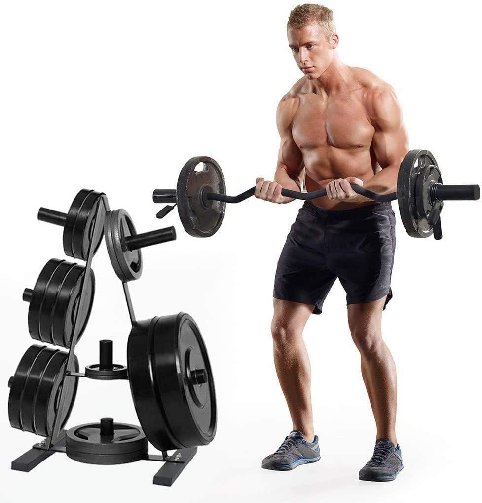 Olympic Weight Plate Rack, A Frame Weight Plate Tree 2 inch for Bumper Plates Free Weight Stand Metal Steel Home Workout Dumbbell Rack Storage Stand : Sports & Outdoors