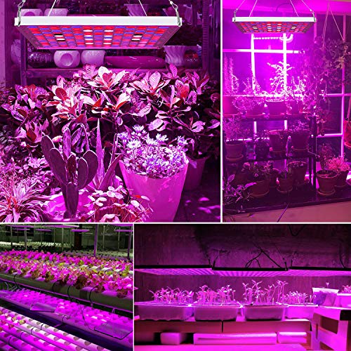 Led Grow Lights for Indoor Plants, Toplanet 75w Full Spectrum Plant Growing Light Lamp Panel with IR Bulbs Grow Lamp Kit for Hydroponic Greenhouse Plants from Seeding to Harvest - Thumbnail 7
