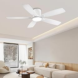 Ayaoty Ceiling Fans with Lights, 52 inch Low
