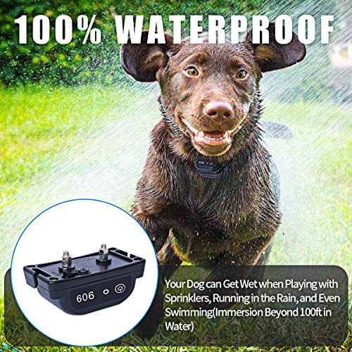 YHPOYLP Wireless Dog Fence In-Ground Pet Containment System, Underground Electric Dog Fence System, IPX8 Rechargeable Waterproof Shock Collar 950Ft Compatible with All Kinds Wire (1 Dog System)