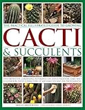 The Practical Illustrated Guide to Growing Cacti & Succulents: The Definitive Gardening Reference On Identification, Care And Cultivation, With A Directory Of 400 Varieties And 700 Photographs by 