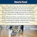 Blue Buffalo Basics Skin & Stomach Care, Grain Free Natural Kitten Pate Wet Cat Food, Indoor Turkey 3-oz cans (Pack of 24)