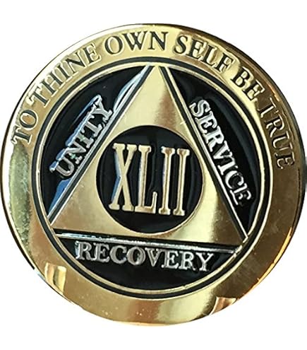 Amazon.com: RecoveryChip 42 Year AA Medallion Elegant Black Gold
