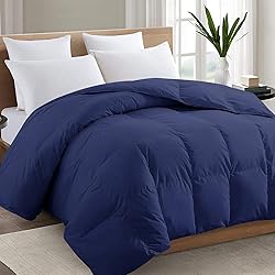 TEXARTIST Queen Navy Blue Comforter, All Season