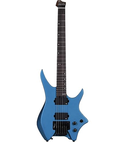 Amazon.com: Fernandes Revolver Deluxe Electric Guitar - Black