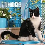 Tuxedo Cats - 2017 Calendar 12 x 12in by Browntrout