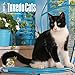 Tuxedo Cats - 2017 Calendar 12 x 12in by Browntrout