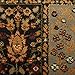 Home Dynamix 41200B-450 Royalty Bella Traditional Area Rug 7'8