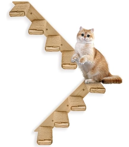 Jugar En Casa Muebles De Pared Para Gatos Y U00e1rbol De