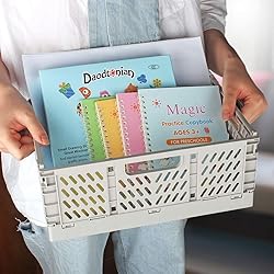 2-Pack Plastic Baskets for Shelf