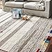 Stone & Beam Contemporary Colorful Fringe Wool Rug, 8' x 10', Tan Multi