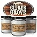 Old Factory Scented Candles - Citrus Grove - Decorative Aromatherapy - Handmade in The USA with Only The Best Fragrance Oils - 3 x 4-Ounce Soy Candles