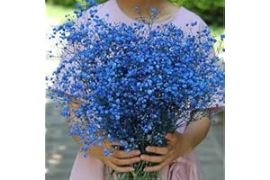 beerfingo Dried-Flowers-Babys-Breath-Bouquet-17.2 inch 2500+ Flowers, Natural Gypsophila Branches for Home Decor, Wedding, Table Decor, DIY Wreath Floral, Dry Flowers Bulk for Vase (Ink Blue)