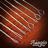 Adagio Pro Mandolin String Set Phosphor Bronze Wound 010-034 Loop End view 2