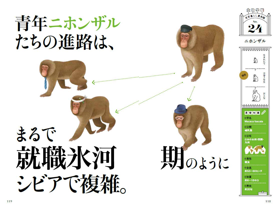 動物たちの青春白書 Amazon Com Books