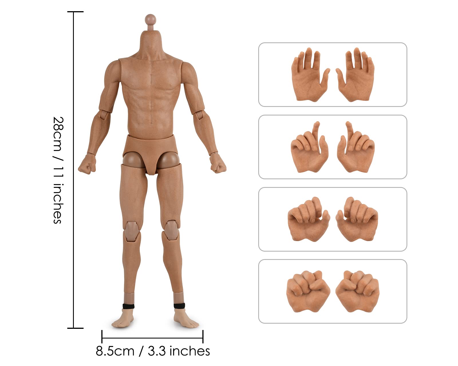 ds. distinctive style 1/6 Scale Male Body Narrow Shoulder Standard 12 Inch Action Figure with 8 Interchangeable Hands for Most Head Sculpt