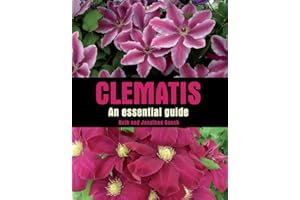 Clematis: An Essential Guide