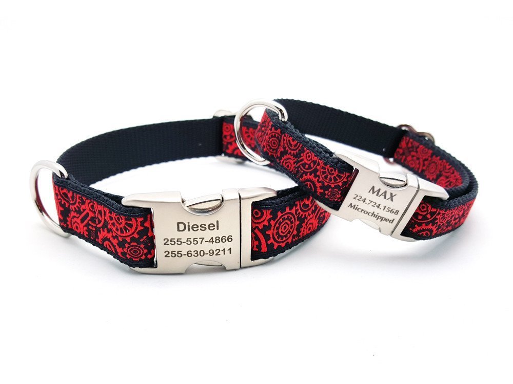 dog collar personalized buckle