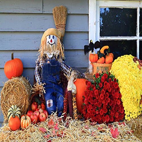 GladsBuy Lovely Scarecrow 6' x 6' Computer Printed Photography Backdrop Bumper Harvest Theme Background LMG-097