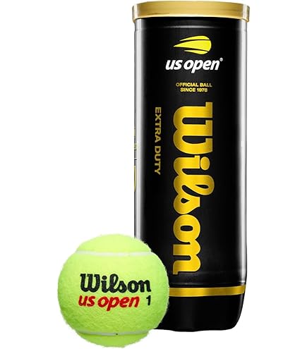 Amazon.com : Wilson US Open Extra Duty Tennis Balls (Case