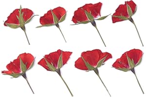 YOUTHBRO 24PCS Dried Pressed Red Rose Flowers with Stem, Nature Real Dry Pressing Floral for Resin for Scrapbooking DIY Candle Accessories Jewelry Crafts Making