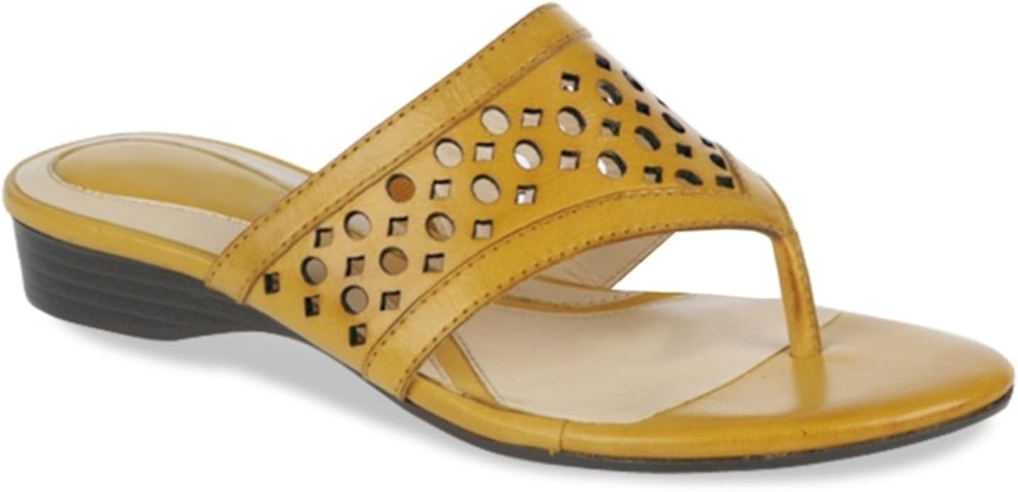 Amazon.com | Naturalizer Women's Lynx Thong, Blaze, 7.5 N US | Flats