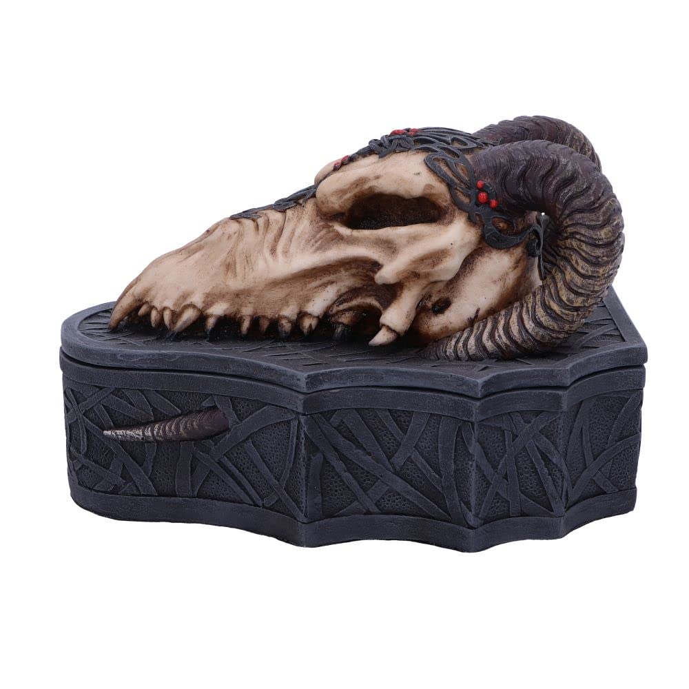 Nemesis Now Dragon Skull Box (Monte Moore) Black, 17.7cm
