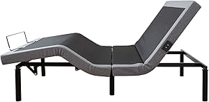 LEISUIT Electric Adjustable Bed Base with Wireless Remote Control,USB Ports,Zero Gravity and No Tools Required(Queen)