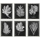 Uttermost Foliage 33 3/4" Wide 6-Piece Framed Wall Art Set