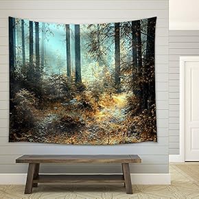 A Breathtaking View as The Sun Shines Through The Forest on a Misty Day. - Fabric Wall Tapestry Home Decor - 51x60 inches