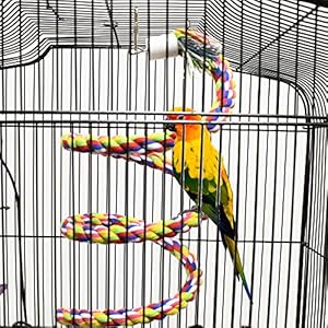 ASOCEA Uccello della Corda Bungee Giocattolo con Campana Cotone Pappagallo Spirale Swing Arrampicata Gabbia in Piedi… - immagine 8