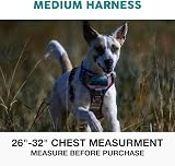 Embark Pets Urban Dog Harness No Pull Front Back Clips Adjustable view 2