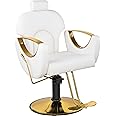 Dangvivi White Barber Chair, Reclining Salon Chair for Hair Stylist, Height Adjustable Hair Styling Armchair with 360 Degrees Rolling Swivel, Multi-Function Hairdresser Braiding Armchair