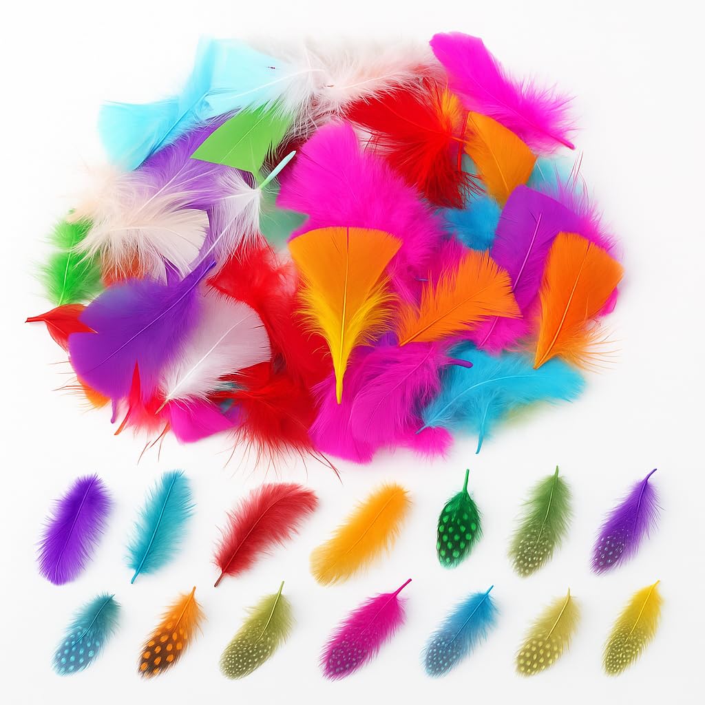 Kids B Crafty Feathers for Crafting – 500 Coloured & Spotted Craft Feathers for Hats, Art, Collage, Costumes & Millinery Supplies