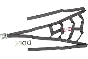 RJS Racing Equipment 10001501 Sprint Car Cage Net