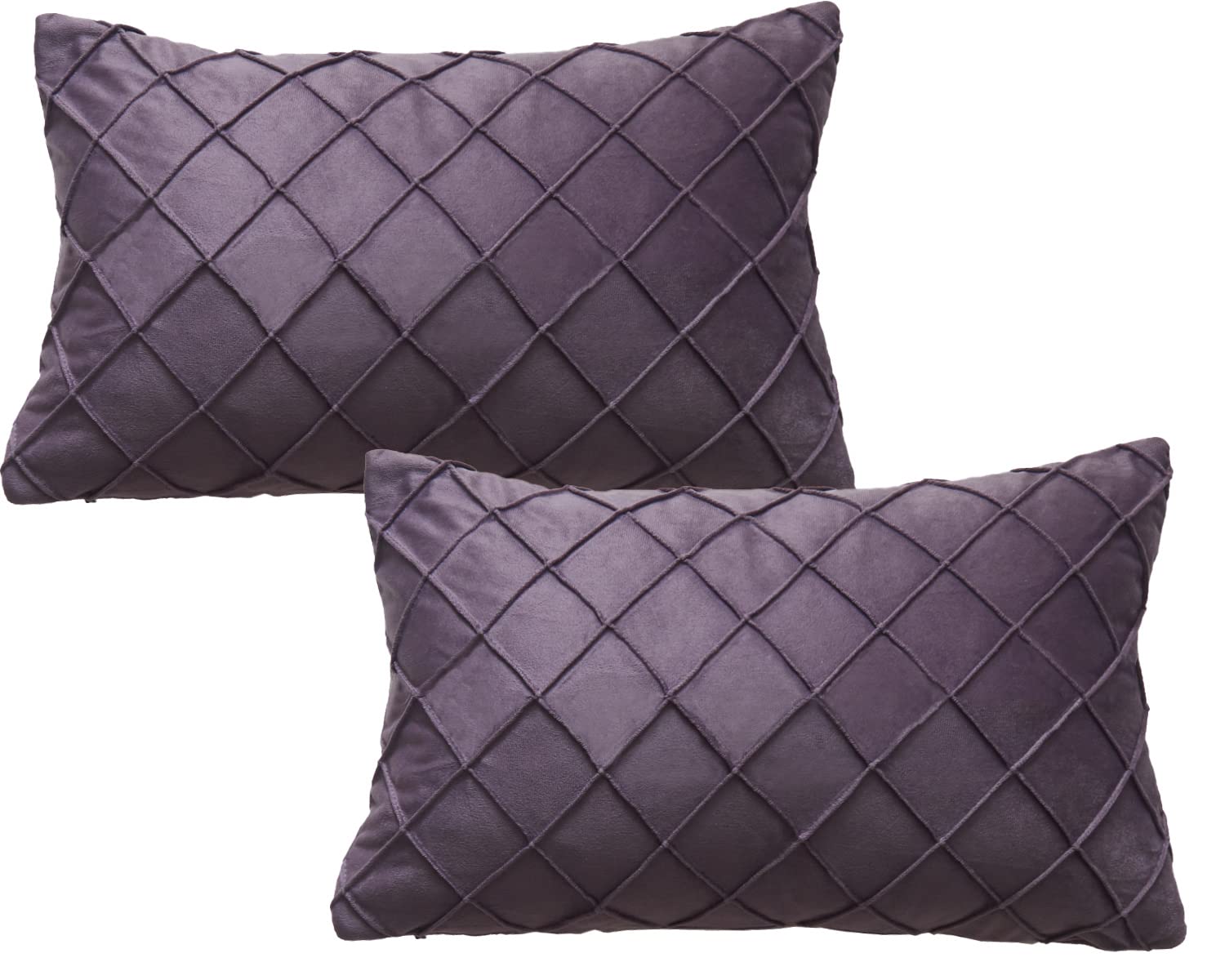 GONOVE Cushion Covers 30X50cm Soft Velvet Decorative Throw Pillow Cases Pack of 2 Square Pillow Covers Pillowcases with Invisible Zipper for Home Couch Sofa Bed, Purple