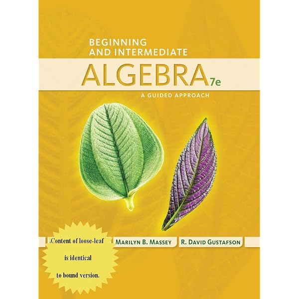 Introductory Algebra with P.O.W.E.R. Learning: Messersmith, Sherri