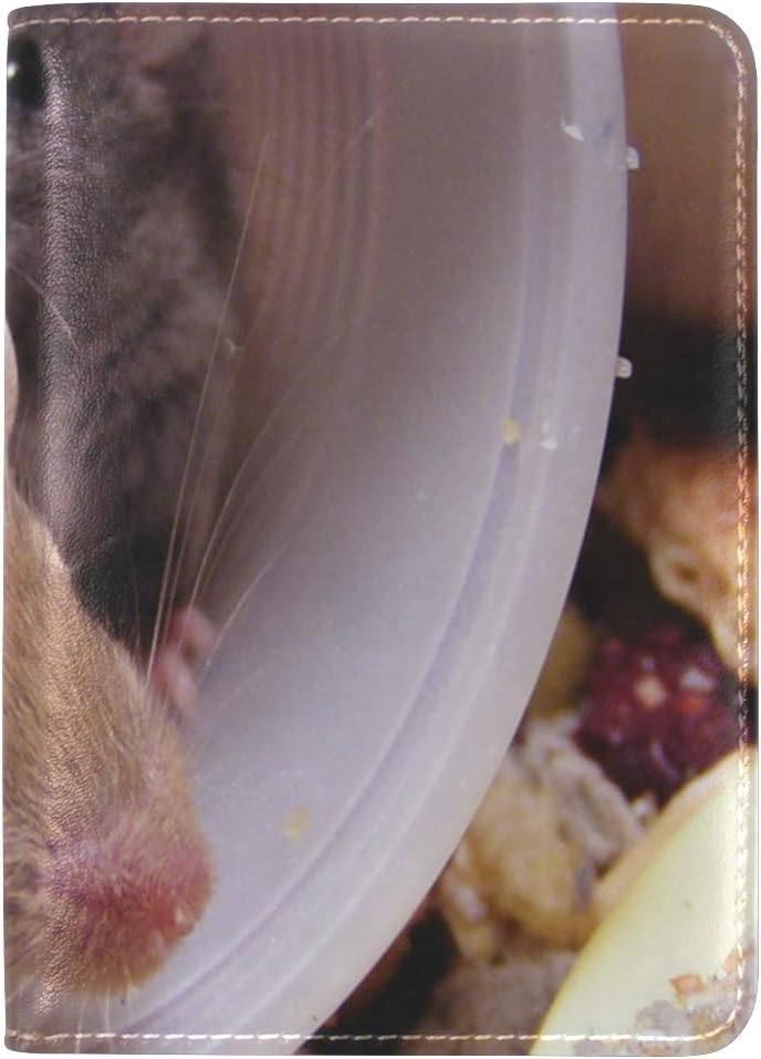 Passport Holder Two Mice Passport Cover Case Leather One Pocket for Women/Men Travel