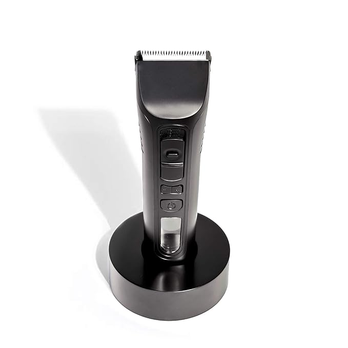 amazon brio beardscape