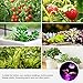 CREATE BRIGHT Led Grow Light Bulb, 28W Plant Bulb Full Spectrum Led Grow Bulb E26 Grow Plant Light for Indoor Plants,Aquariums,Hydroponics Greenhouse Organic,Pack of 1
