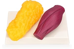 SKILLSSIST Human Body Muscle & Fat Replica 1lb with Display Base, Silicone Realistic Anatomic Muscle Tissue & Fat Model for Nutritionists, Athletes, and Medical Students.