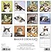 2016 Just Maine Coon Cats Wall Calendar
